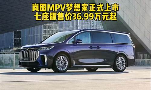 30万买7座mpv二手车_30万左右七座