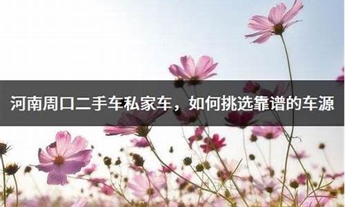 周口二手轿车_河南周口二手车两万以下